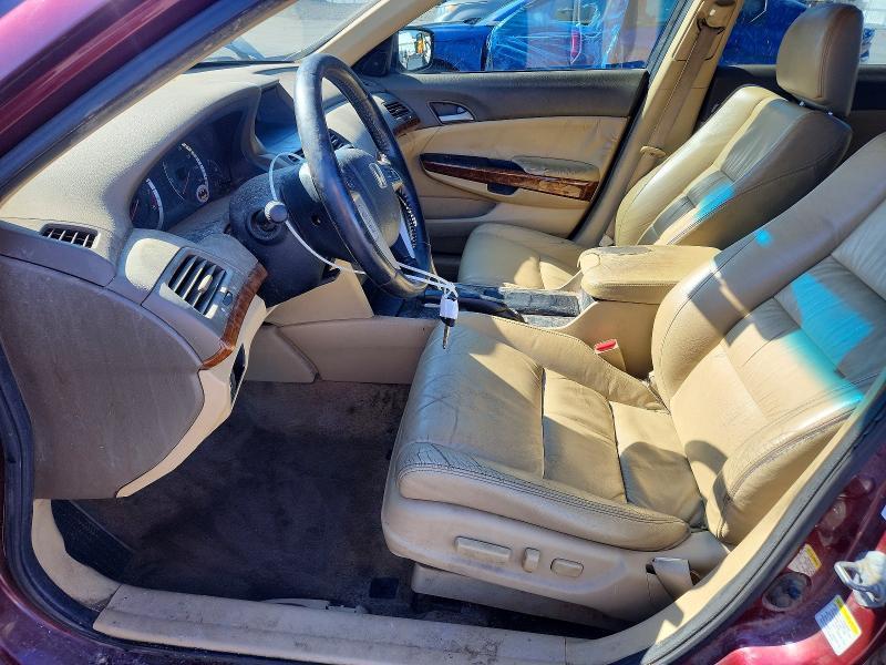 2010 Honda Accord EXL