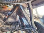 2014 Harley-Davidson Flhx Street Glide