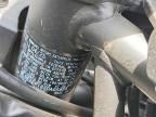 2025 Kawasaki EX650 P