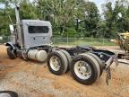 2023 Peterbilt 2023 Ptrb 389