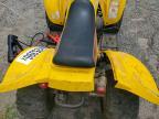2004 Other 2004 Eton ATV