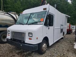 Freightliner salvage cars for sale: 2007 Freightliner Chassis M Line WALK-IN Van