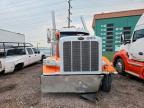 2018 Peterbilt 389 Semi Truck