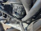 2021 Triumph Tiger 900 GT PRO