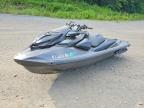 2023 Sea-Doo RXP X 300