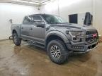 2017 Ford F150 Raptor