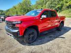 2019 Chevrolet Silverado K1500 LT Trail Boss