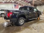 2025 Ford F150 XLT