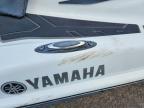 2020 YAM VX Limited