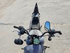 2026 Harley-Davidson Fxlr