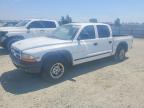 2000 Dodge Dakota Quattro