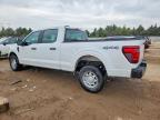 2024 Ford F150 XL