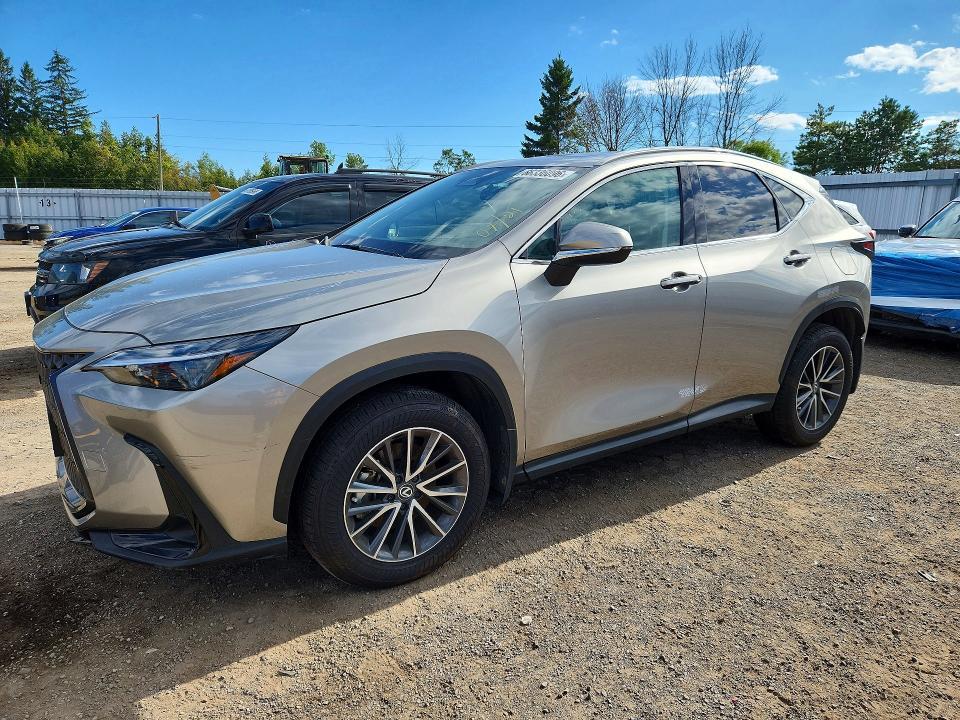 2025 Lexus NX 350 Premium