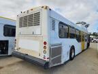 2010 El Dorado Axess