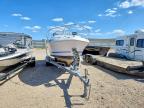 2001 Pro Line Boat Co 2001 PRO Line Boat