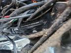 2001 Harley-Davidson Flstfi