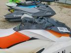 2017 Sea-Doo Jetski