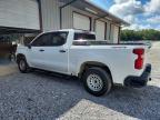 2024 Chevrolet Silverado K1500