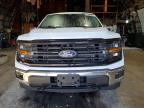 2025 Ford F150 XLT