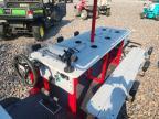 2025 Golf Cart Other