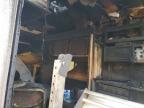 2017 Trailers Sandstorm 282