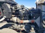 2022 Freightliner Cascadia 126