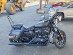 2020 Harley-Davidson XL883 N