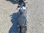 2025 Triumph Daytona 660