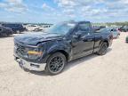 2025 Ford F150 XL