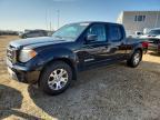 2010 Suzuki Equator Sport