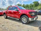 2024 Ford F150 XLT