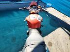 2010 Triumph Street Triple R