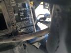 2026 Triumph Tiger Sport 800/SPORT 800 Touring