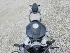 2026 Cf Moto 675SS