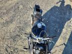 2017 BMW S 1000 R