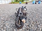 2019 Harley-Davidson Flhrxs