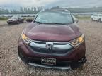 2019 Honda Cr-v exl