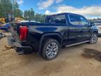 2025 GMC Sierra K1500 Denali
