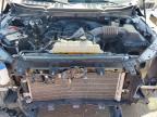 2024 Ford F150 XLT