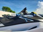 2019 Yama - Yamaha VS