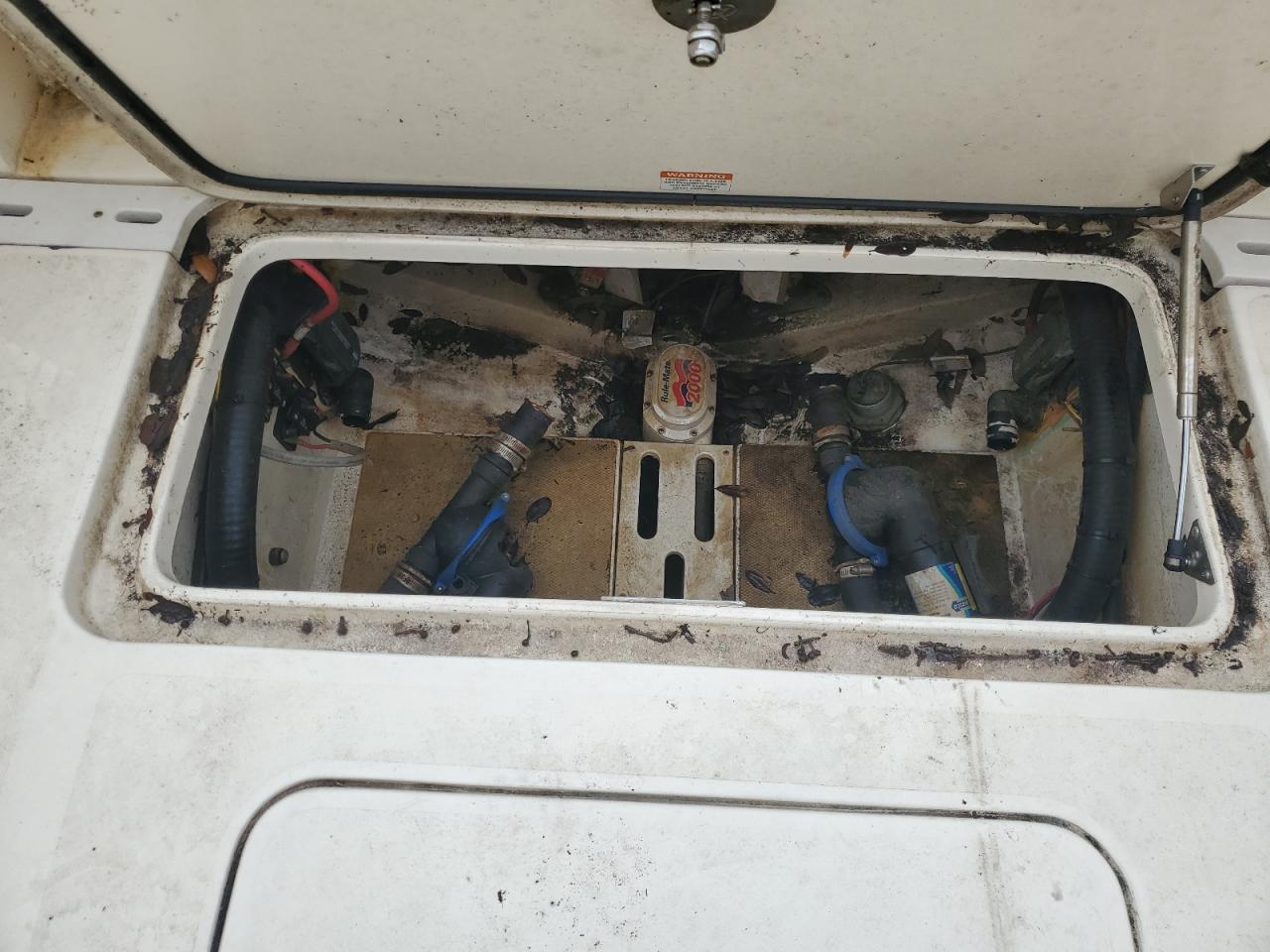 2017 Scout Fishing Boat