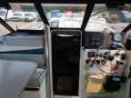 1991 Bayliner 2159 Trophy-Boat
