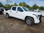 2023 Toyota Tundra SR