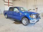 2025 Ford F150 XLT