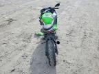 2025 Kawasaki EX500 H