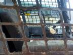 2023 Bobcat T770 Tracked Skid Steer Loader