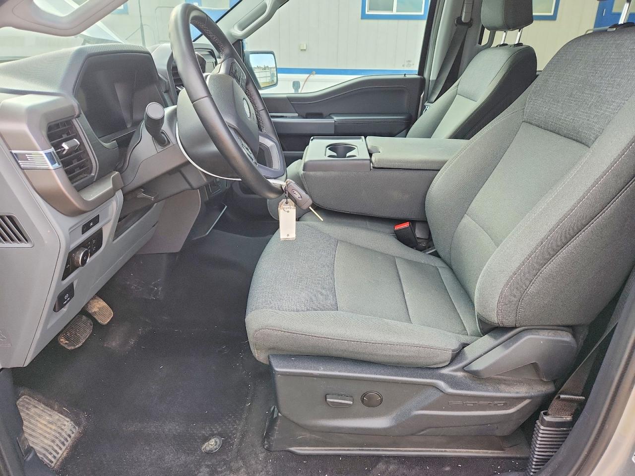 2025 Ford F150 XLT