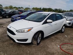 Ford Focus salvage cars for sale: 2017 Ford Focus SE