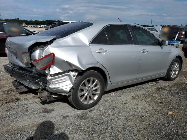 2010 Toyota Camry Hybrid