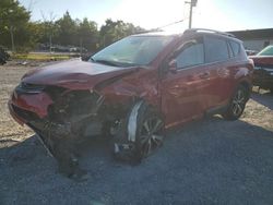 Toyota Rav4 salvage cars for sale: 2016 Toyota Rav4 XLE